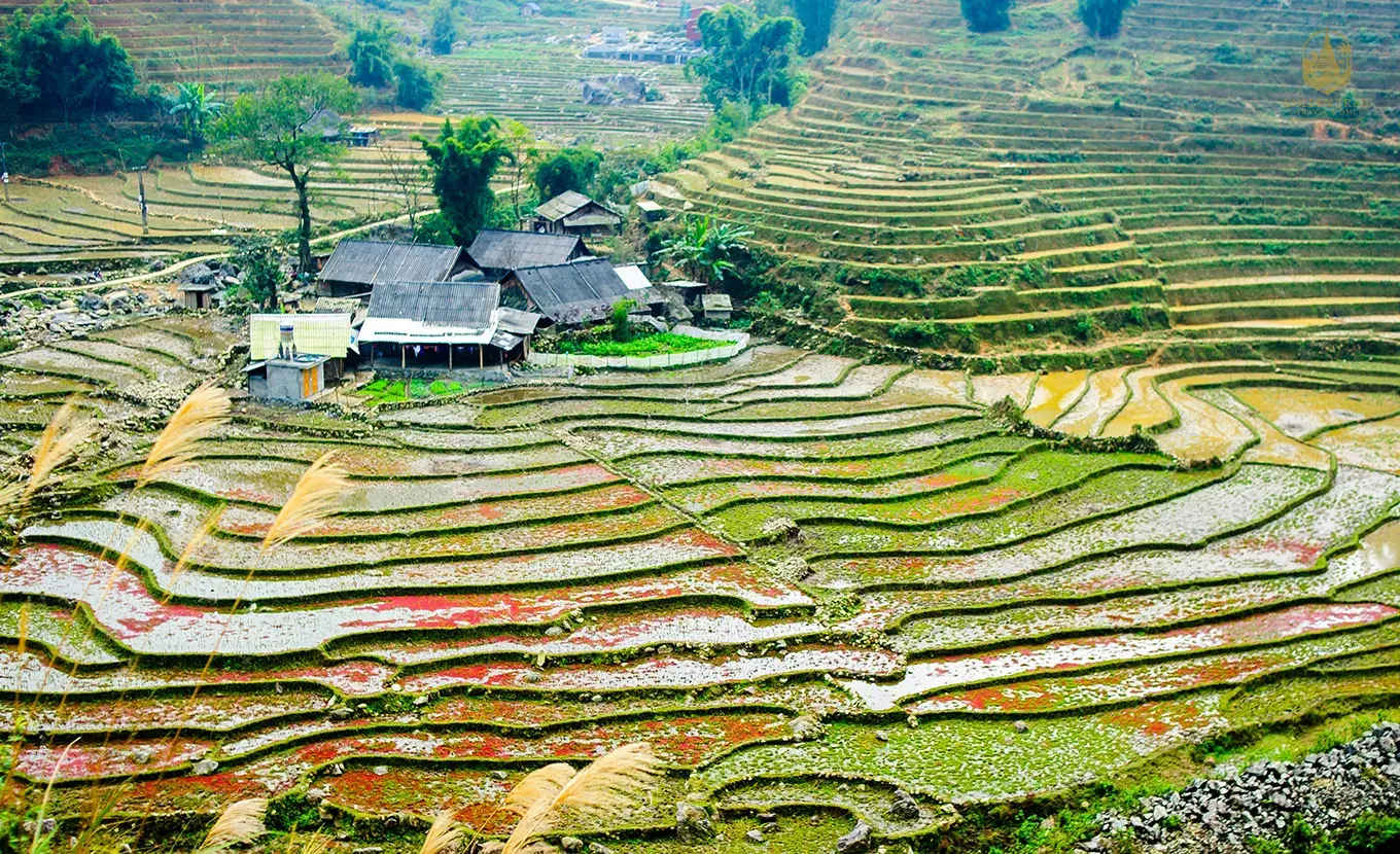 Vietnam Authentic Discovery 12 Days: Hanoi, Sapa, Lan Ha Bay & Imperial Hue